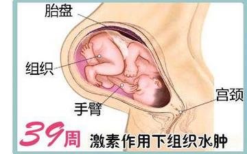 【怀孕39周】怀孕39周发育指标检查_怀孕39周胎儿变化_妈妈状态_怀孕39周注意事项
