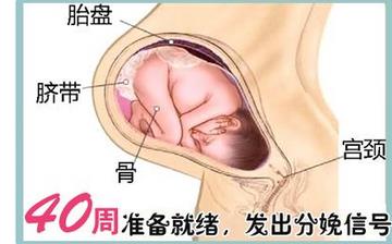 【怀孕40周】怀孕40周发育指标检查_怀孕40周胎儿变化_妈妈状态_怀孕40周注意事项 【怀孕40周】怀孕40周发育指标检查_怀孕40周胎儿变化_妈妈状态_怀孕40周注意事项