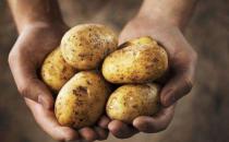 土豆能减肥吗？这样吃土豆最易长胖！