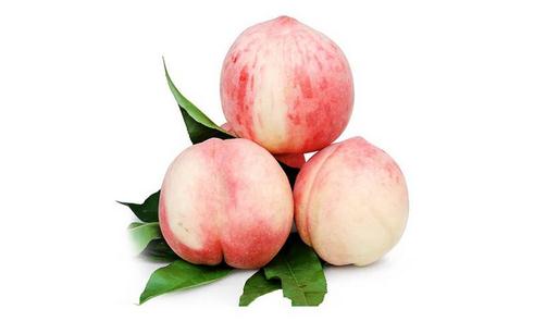 五指毛桃有哪些功效?