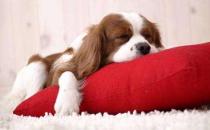 怎样才是好睡眠？这样才叫睡得好