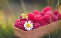 如何让母亲度过一个快乐的晚年？