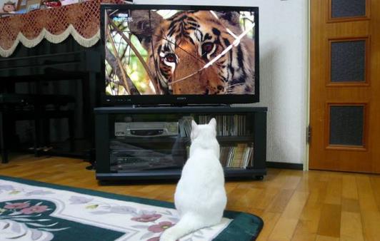 3个坏习惯竟比抽烟更致癌?