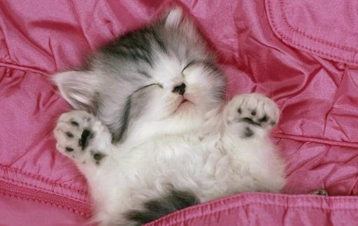 熬夜会给你带来什么危害？