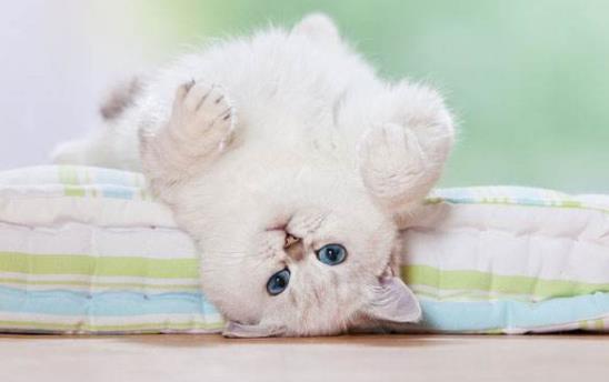 落枕是啥？落枕了怎么办？