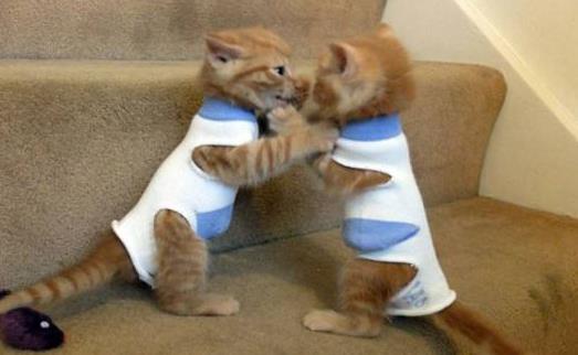 睡得太少会有什么危害？