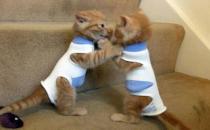 睡得太少会有什么危害？