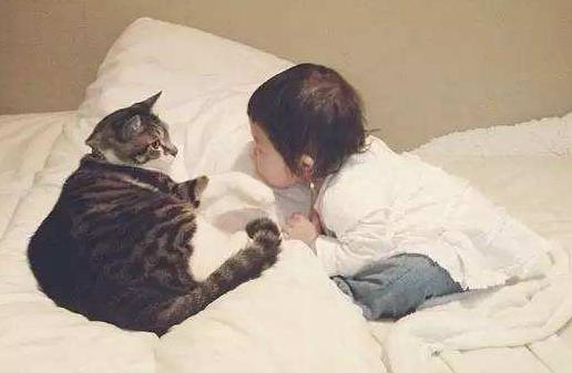 枕头要睡多高的才合适