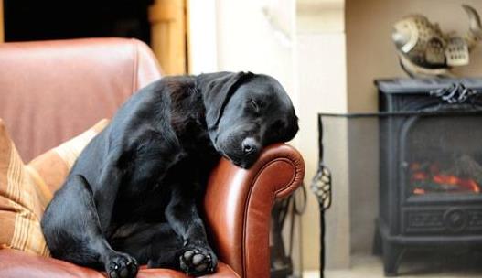 头发不干就睡觉会有这些危害