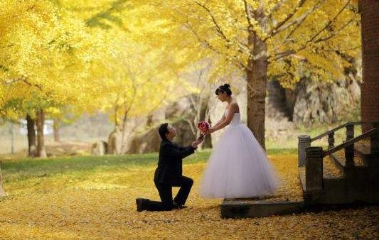 必看!十二星座情商排行榜