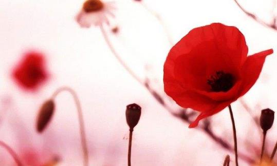 不孕不育的症状都有哪些？