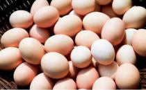 盘点6个错误吃鸡蛋的方法