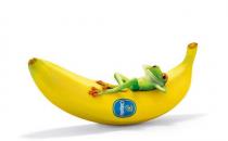 吃长斑的香蕉竟有那么多好处？