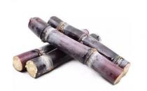 揭秘甘蔗的营养新吃法