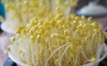 豆芽要如何正确保存？