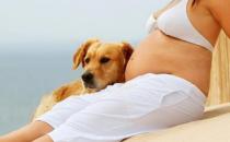 ​孕晚期频繁假宫缩正常吗