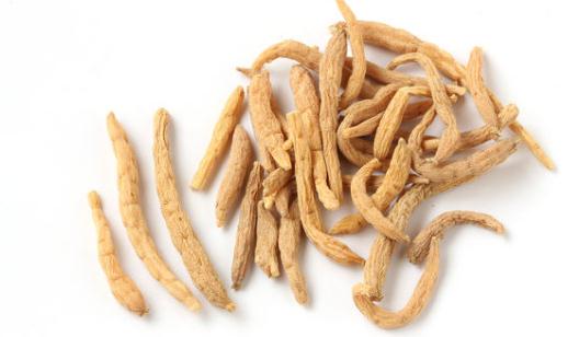 经期能吃太子参吗 经期最好不要吃太子参