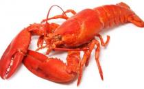 月经期可以吃龙虾吗 龙虾怎么吃更好