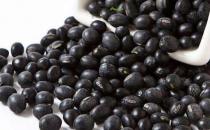 如何保养卵巢 40岁女性卵巢该怎么保养