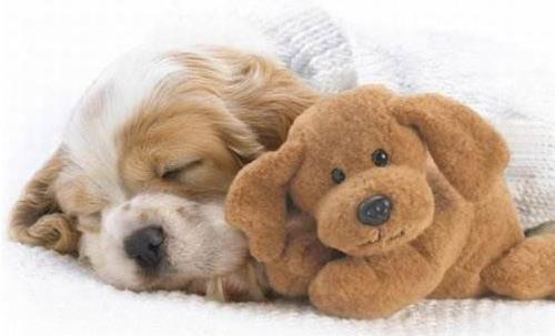 发作性睡病能自愈吗？发作性睡病怎么治疗