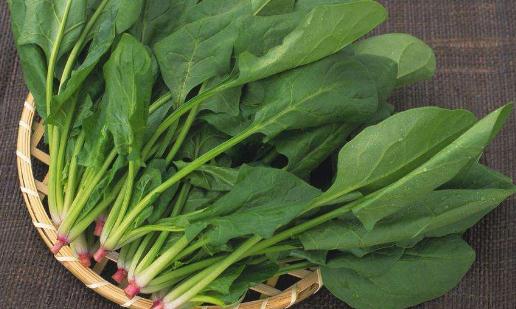 经期一定要补气血 吃哪些食物补气血