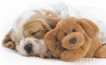 发作性睡病能自愈吗？发作性睡病怎么治疗