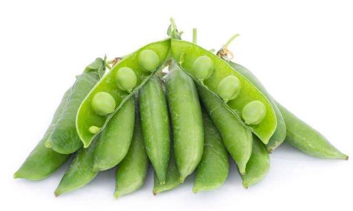 吃什么食物可防癌 男性吃豌豆可以预防癌症