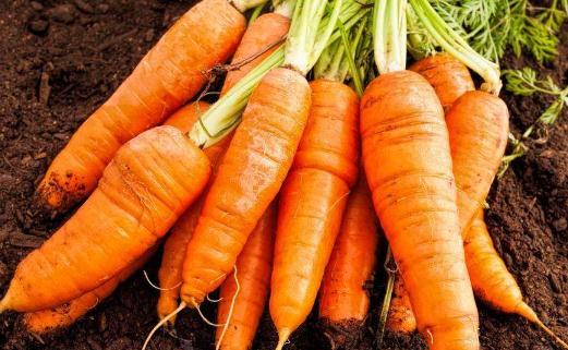 卵巢早衰如何调理 保养卵巢别犯5禁忌