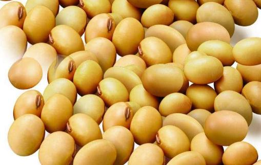 女性爱自己 选对食物保卫卵巢