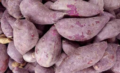 女性防衰老要先保养卵巢 6种食物防卵巢早衰