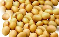 女人要爱自己 选对食物保卫卵巢