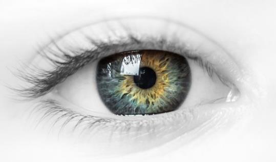 白领吃什么可以预防干眼症