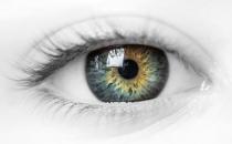 白领吃什么可以预防干眼症