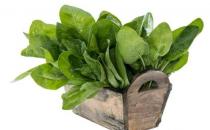 哪些蔬菜能够有效控制高血压
