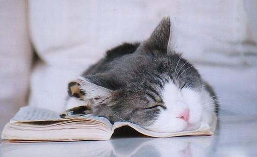 睡觉时别做这些伤身事!