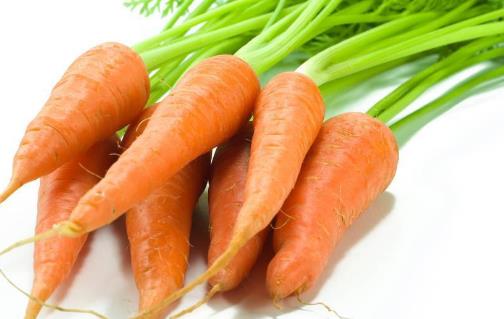 胡萝卜这样吃最有营养 你知道吗