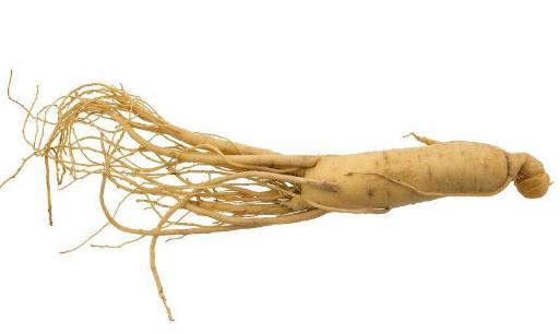 坐月子的五大饮食禁忌