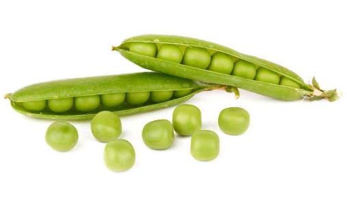 能保养卵巢的食物有哪些 7种食物要常吃