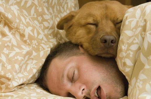 做噩梦小心患这些疾病！