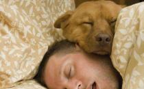 做噩梦小心患这些疾病！