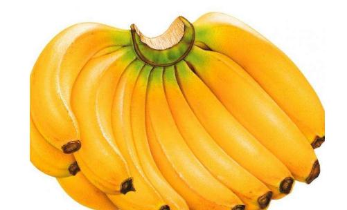男人多吃香蕉有好处 可提高生育能力