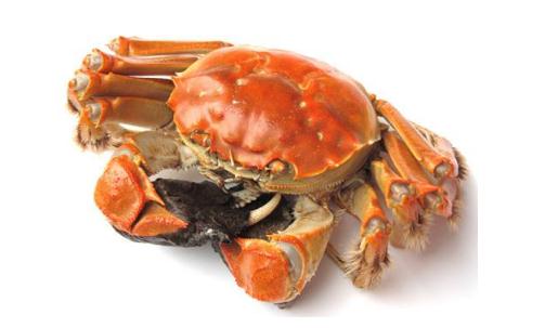 新产妇不要多吃螃蟹 容易加重宝宝湿疹