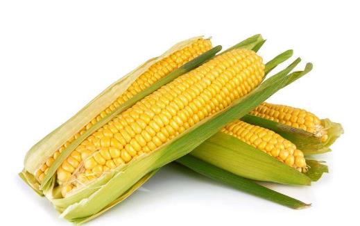 吃什么食物可以预防血管硬化