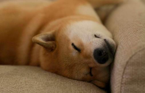 预防蛋白尿的方法有哪些