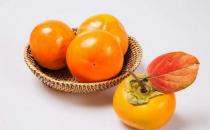 吃柿子需要注意哪些事项