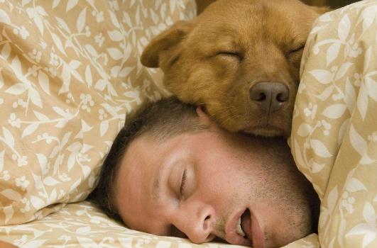 这样睡让你加速衰老!