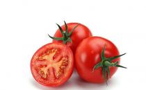 吃番茄需要注意哪些禁忌