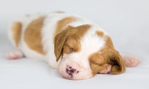 枕头的高低影响健康！