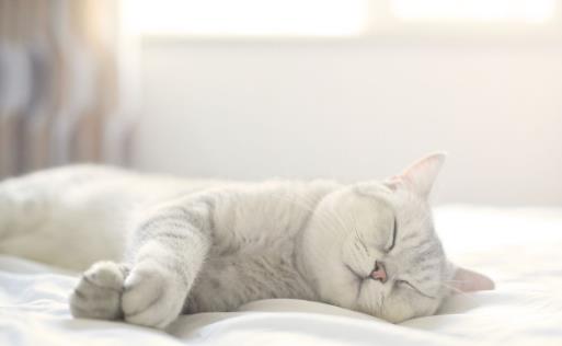 睡子午觉需要注意什么事项