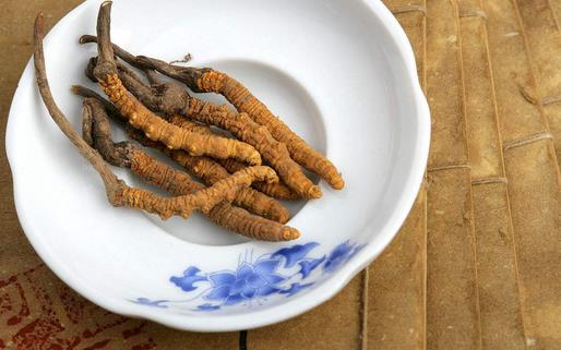 冬虫夏草滋补药膳方